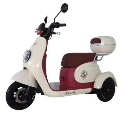 Triciclo Luxo